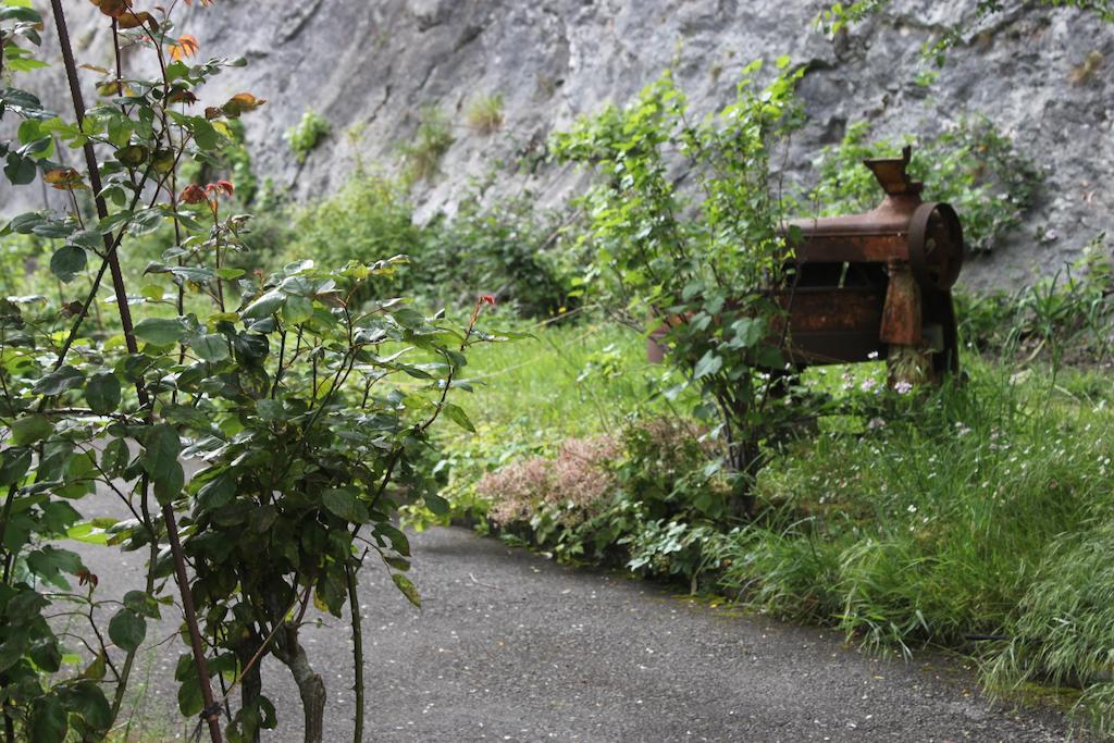 Muriances Vilde Exterior foto